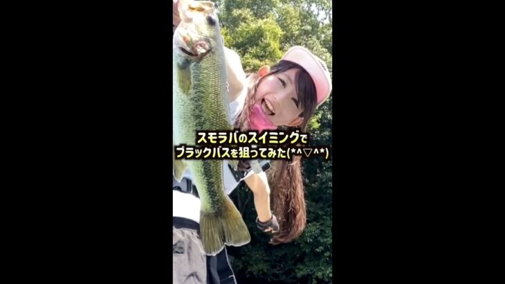 【釣りガール】スモラバのスイミングでブラックバスが釣れる瞬間！#Shorts