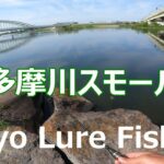 東京ルアー釣り、多摩川スモール 登戸(Tokyo Lure Fishing, Bass, 小口黑鱸)