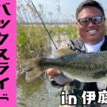 【バス釣り】春のカバー撃ち‼バックスライド！in 伊庭内湖／タク石黒 [タクちゃんのトンでもない]