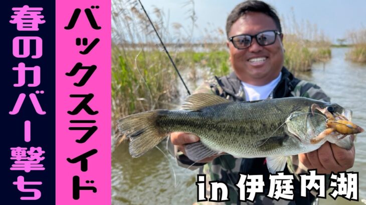 【バス釣り】春のカバー撃ち‼バックスライド！in 伊庭内湖／タク石黒 [タクちゃんのトンでもない]