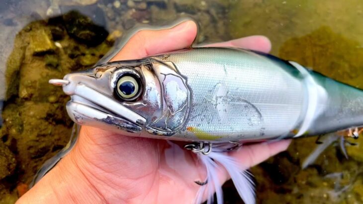 超でかいルアーで本気で釣りまくったバス釣り動画！