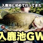 愛知でバス釣り　初入鹿池　単身赴任中にポリンポリンの春バスを釣る