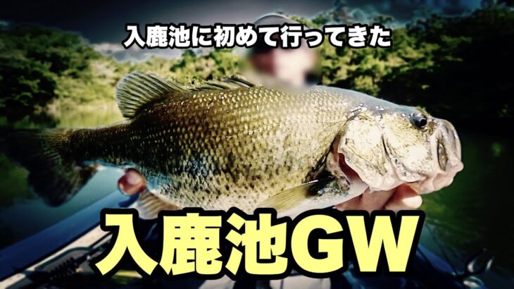 愛知でバス釣り　初入鹿池　単身赴任中にポリンポリンの春バスを釣る