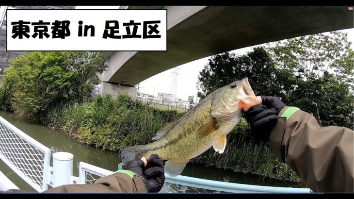 【バス釣り】東京都　足立区釣行