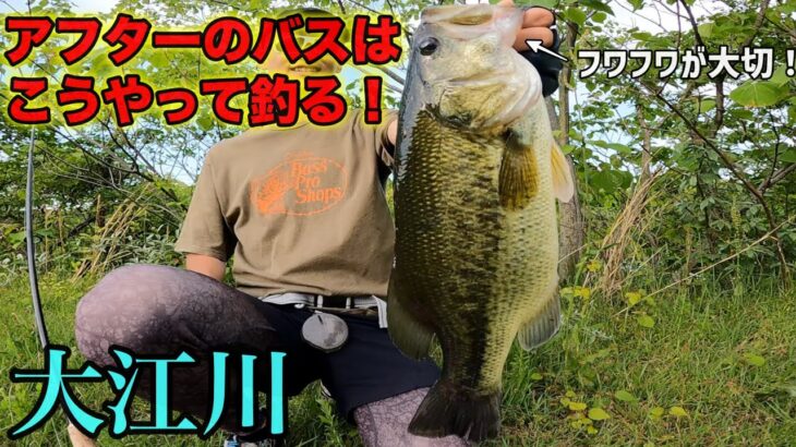 やっぱりこのルアー釣れるわ…。ハイプレッシャーな週末でも関係なし！【大江川バス釣り】