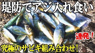 昼間の堤防でアジを狙ったらサビキで入れ食い！足下でもアジ科の回遊魚が無限に釣れた！【究極のサビキ組み合わせ】が炸裂