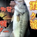 霞水系で連続バイトも夢じゃないルアーでバス釣り！