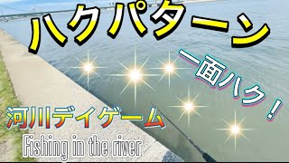 【シーバス釣り】春のデイゲーム！河川でハク、マイクロバイトパターンを攻略したい！キーとなったルアーはワーム！？