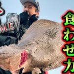 ワームだけど飛距離抜群‼︎食わせも抜群‼︎良型ヒラメがゴンッ‼︎‼︎～宮城県北サーフ～