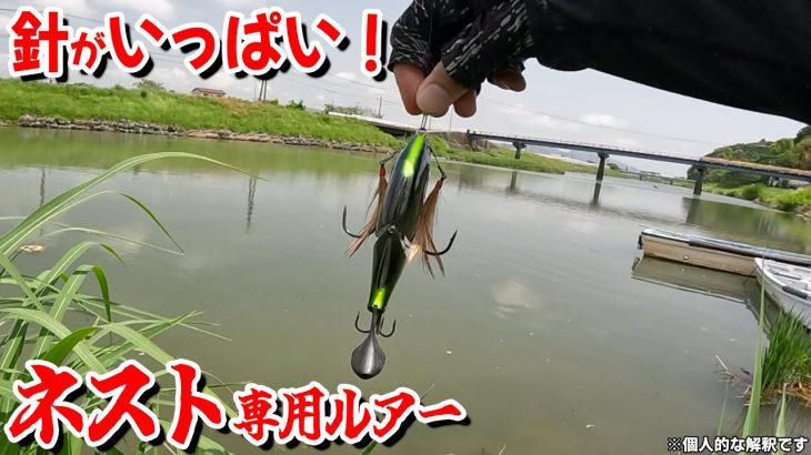 ネスト撃ちしてたら最悪の事態に…【バス釣り】