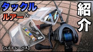 シーバス釣り　〜ベイトで使うタックルやルアー紹介‼︎デイゲーム編〜