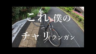 これが僕のチャリランガン…【シーバスフィッシング】