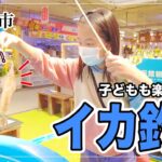 函館朝市【イカ釣りを楽しむなら〇〇の時間帯がオススメ!!】