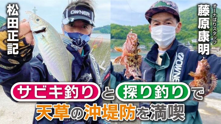 サビキ釣りと探り釣りで天草の沖堤防を満喫