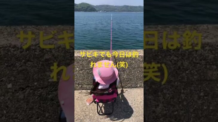 子供のサビキ釣り