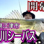 江ノ川シーバス開幕！！春のシーバス釣り  -島根県江津市-