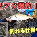 【サビキ釣り】この仕掛けを真似して！！アジが爆釣します！【鹿島港魚釣園】