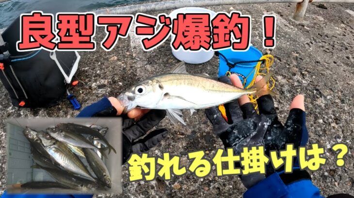 【サビキ釣り】この仕掛けを真似して！！アジが爆釣します！【鹿島港魚釣園】