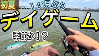 1ヶ月振りに河川にシーバス釣り行ってみた！初夏のデイゲームでバイブレーションに季節がキタ？鉄板バイブも視野に入れて釣行！