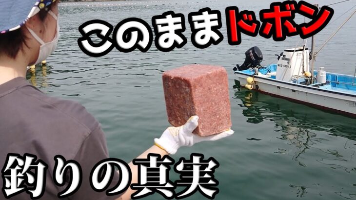 【海中映像】アカアミ2㎏そのままドボンで楽しいサビキ釣り！のはずが・・・。過酷企画に切り替わる釣りの真実公開ドキュメント？釣れるまで帰れません！？【宮城県石巻】