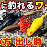 【バス釣り】６月のおすすめワームの使い方・使い時！アフターバス〜回復・梅雨の場合を解説してみた【フリックシェイク】【スモラバ】【ファットイカ】【2022年最新版】