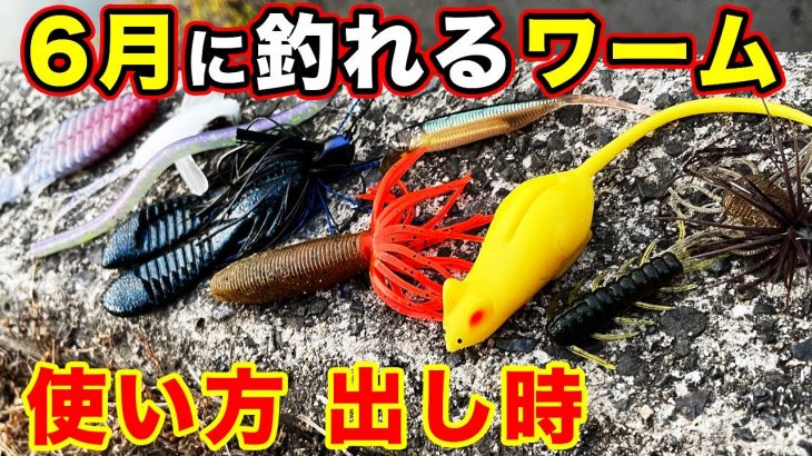 【バス釣り】６月のおすすめワームの使い方・使い時！アフターバス〜回復・梅雨の場合を解説してみた【フリックシェイク】【スモラバ】【ファットイカ】【2022年最新版】