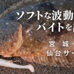 【サーフ】ヒラメ2枚、マゴチ4本！夏フラットの連続ヒットが止まらない！/ 伊賀拓実