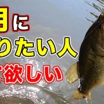 【バス釣り】6月梅雨アフタースポーニングの釣り方や釣れる時期やルアーワームの狙うポイントも徹底解説してみた【2022年最新情報】【野池・ダム・川】【初夏】【晩春】