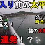 【千葉県某所】6月上旬太平洋サビキ釣り調査！梅雨入り前の時期に、関東地方にある房総半島の外房の釣り場で、アジを意識したトリックサビキやルアー釣り、泳がせ釣りなどをしてみたら…！【2022.06.01】