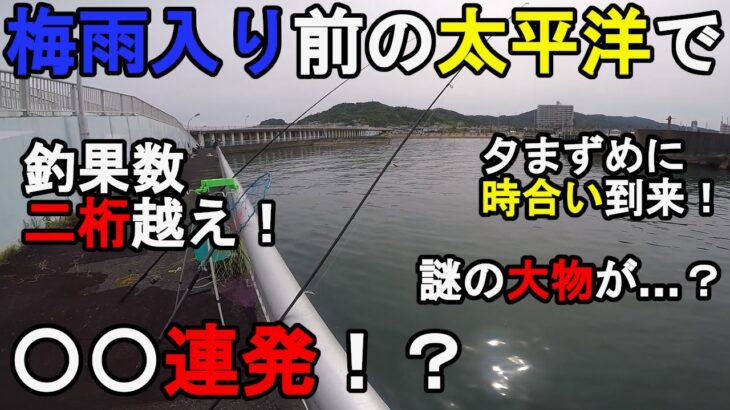 【千葉県某所】6月上旬太平洋サビキ釣り調査！梅雨入り前の時期に、関東地方にある房総半島の外房の釣り場で、アジを意識したトリックサビキやルアー釣り、泳がせ釣りなどをしてみたら…！【2022.06.01】