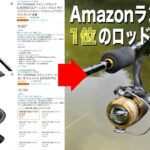 Amazonのランキング1位のリールとロッドだけで釣りをしてみたら・・・