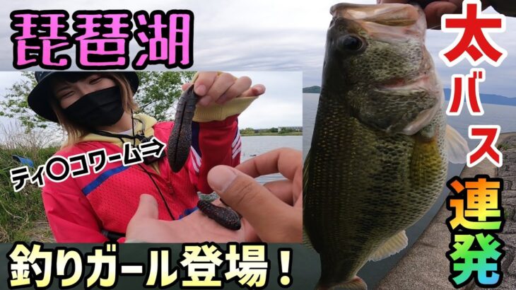 釣りガールと琵琶湖バス釣りで暴走！？デカバス連発の釣りバカFCコラボ釣行！琵琶湖オカッパリ人気ポイントで極太ブラックバスを釣る！【琵琶湖バス釣り】