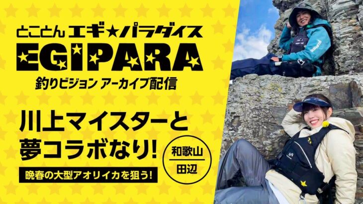 【エギングマイスター川上英佑 出演】 -とことんエギパラダイス No.143- 和歌山県の春の大型アオリイカが絶好調！？