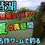 真昼間のピーカン無風が難しい？たわけ！バス釣りはいつでも釣れる！！ｗ夏に近付く琵琶湖バスフィッシング！オカッパリでOSP名作ドライブシュリンプで得意な釣り方でバスを狙う！【琵琶湖バス釣り】