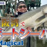 【Sea Magical】大阪湾でシーバス釣りしてきました！