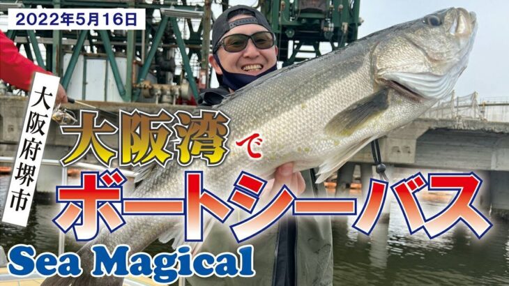 【Sea Magical】大阪湾でシーバス釣りしてきました！