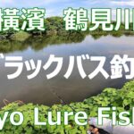 東京ルアー釣り、鶴見川 ブラックバス (Tokyo Lure Fishing, Bass, 黑鱸)