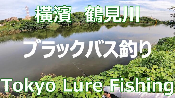 東京ルアー釣り、鶴見川 ブラックバス (Tokyo Lure Fishing, Bass, 黑鱸)
