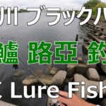 東京ルアー釣り、荒川ブラックバス 水門 (Tokyo Lure Fishing, Bass, River, 黑鱸)