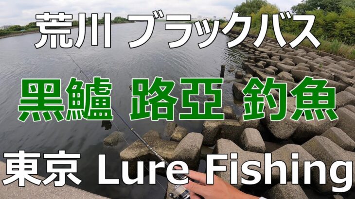東京ルアー釣り、荒川ブラックバス 水門 (Tokyo Lure Fishing, Bass, River, 黑鱸)