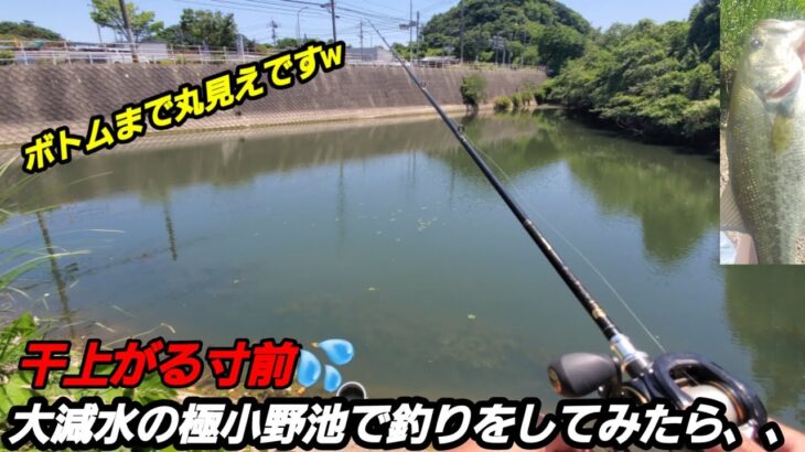 【バス釣り】干上がる寸前の野池で釣りをしてみたら、、【溜め池】【野池】【ドライブスティック】【ブラックバス】【外来魚】【osp】【アフターバス釣り】【福岡】【Vlog】