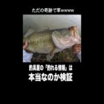 #わしゃ釣り動画しか出さんのよ #しかもバス釣りしかせん #でもそれでえぇ#shokurosfishing