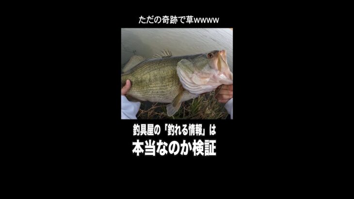 #わしゃ釣り動画しか出さんのよ #しかもバス釣りしかせん #でもそれでえぇ#shokurosfishing