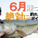 アフター〜回復バスの攻略法！府中湖モンスターを捕獲 / 水野浩聡【バス釣り】