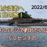 【福井県小浜市】イカ釣り ヤエンの竿にかかったのはいったい何？！