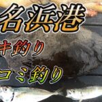 【小名浜港釣り】福島県小名浜港でサビキ釣り、ブッコミ釣りで多彩な魚達が！？