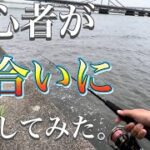 【釣れるタイミング】シーバス釣りの「時合い」に釣行してみた！初夏の河川でデイゲーム釣行