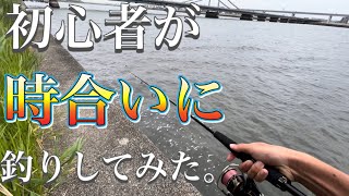 【釣れるタイミング】シーバス釣りの「時合い」に釣行してみた！初夏の河川でデイゲーム釣行