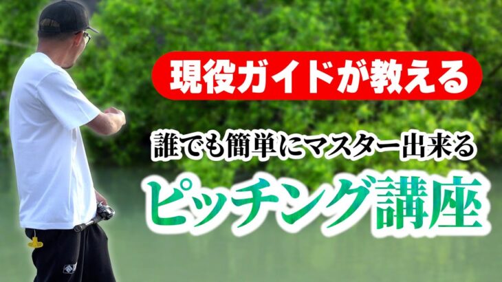 【バス釣り】誰でも簡単にマスターできるピッチング方法！