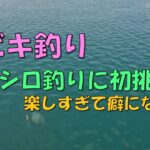 【サビキ釣り】熊本の海で釣りしてみた❕❕コノシロ釣りに初挑戦❕❕この引きは楽し過ぎて癖になる！